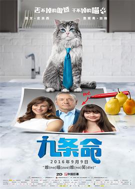 迈开腿让我看看你的森林