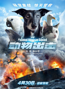海豚财富官网